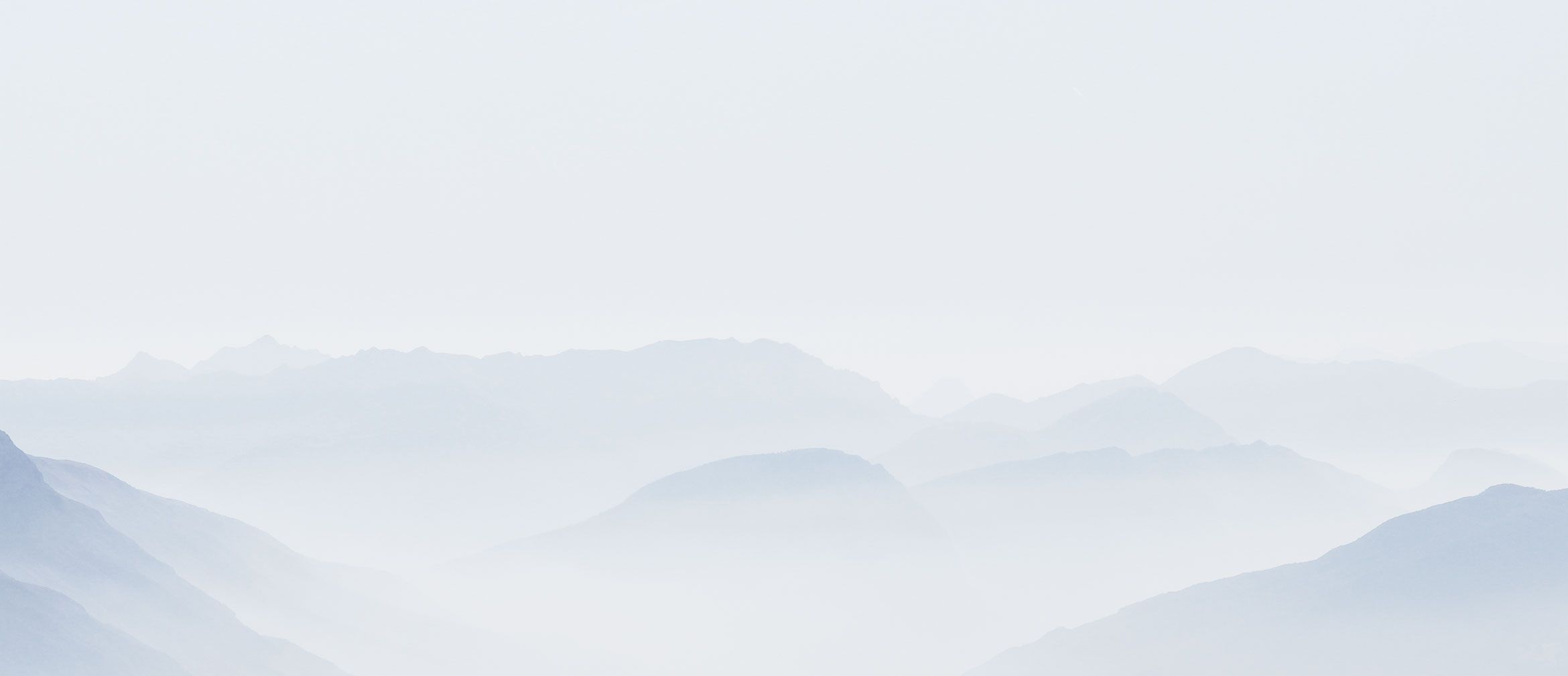 Foggy Hills Foggy Hills